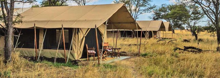 7 Days African Safari Tour