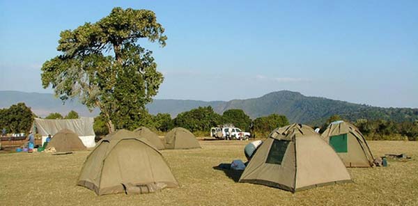 camping-safari