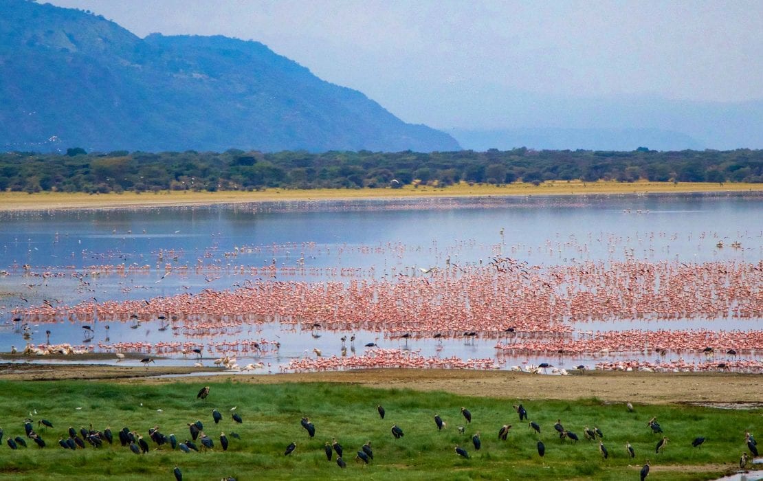 lake-manyara